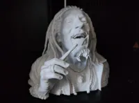 0.16mm layer, 2 walls, 5% infill