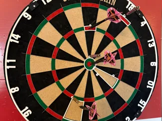Dart Trainer