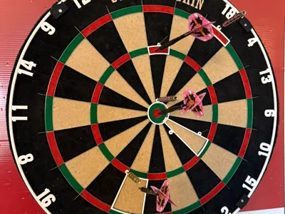 Dart Trainer