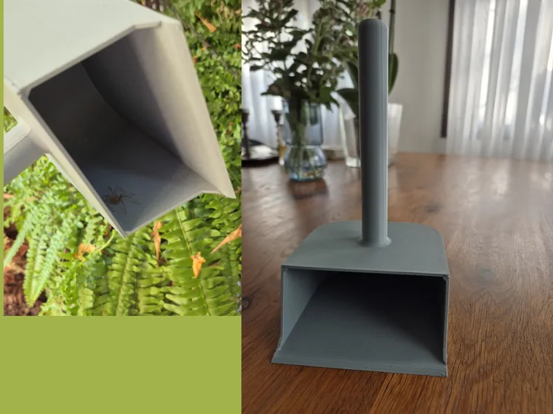 Quick Spider Relocator