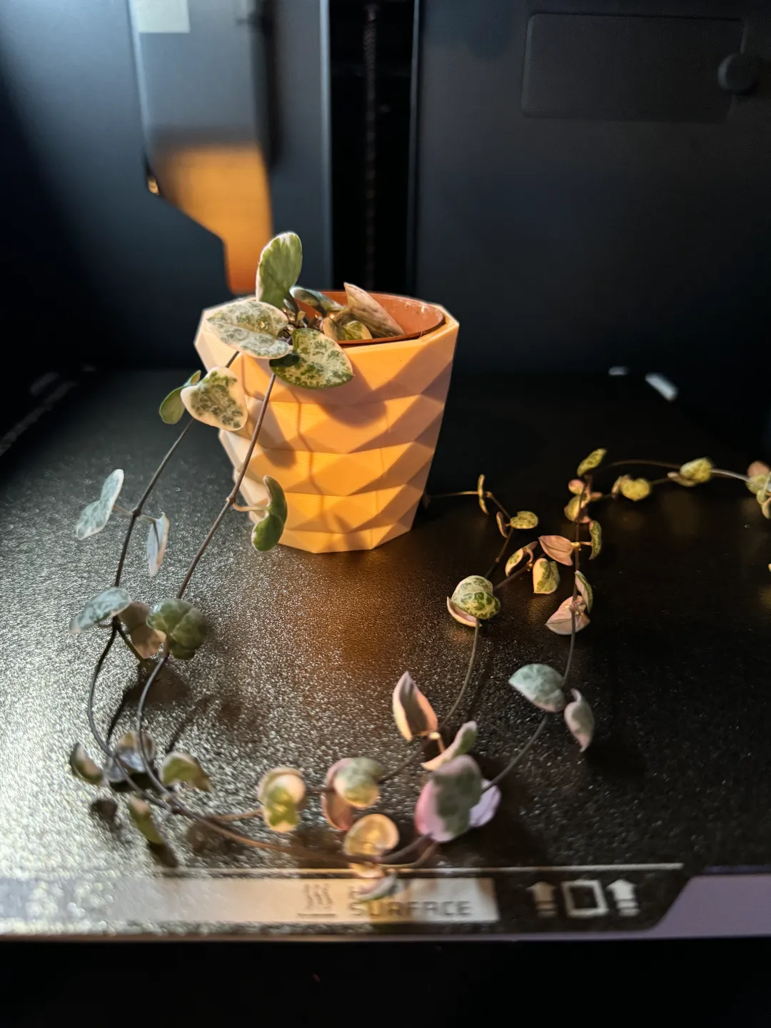 Cache-pot pour godets de 2 pouces
