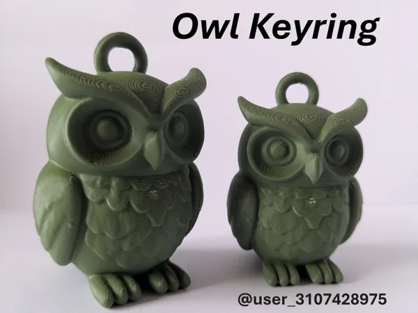 https://makerworld.bblmw.com/makerworld/model/USdf24ae7711a660/design/2025-06-26_9567d79e1e7e5.png