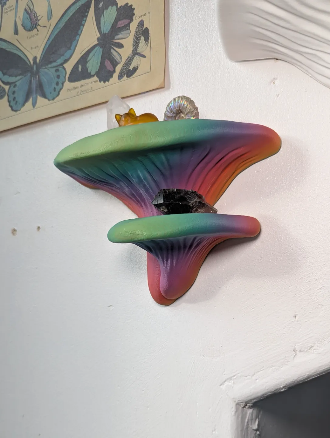 Mushroom Shelf view 4