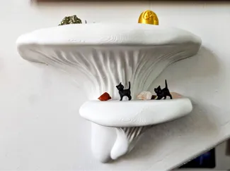 Mushroom Shelf