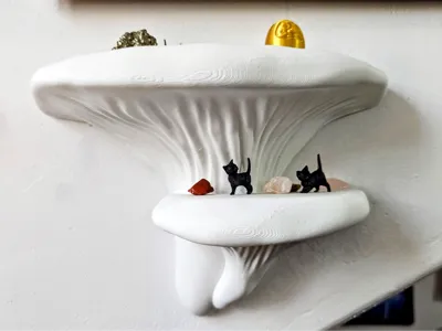 Mushroom Shelf