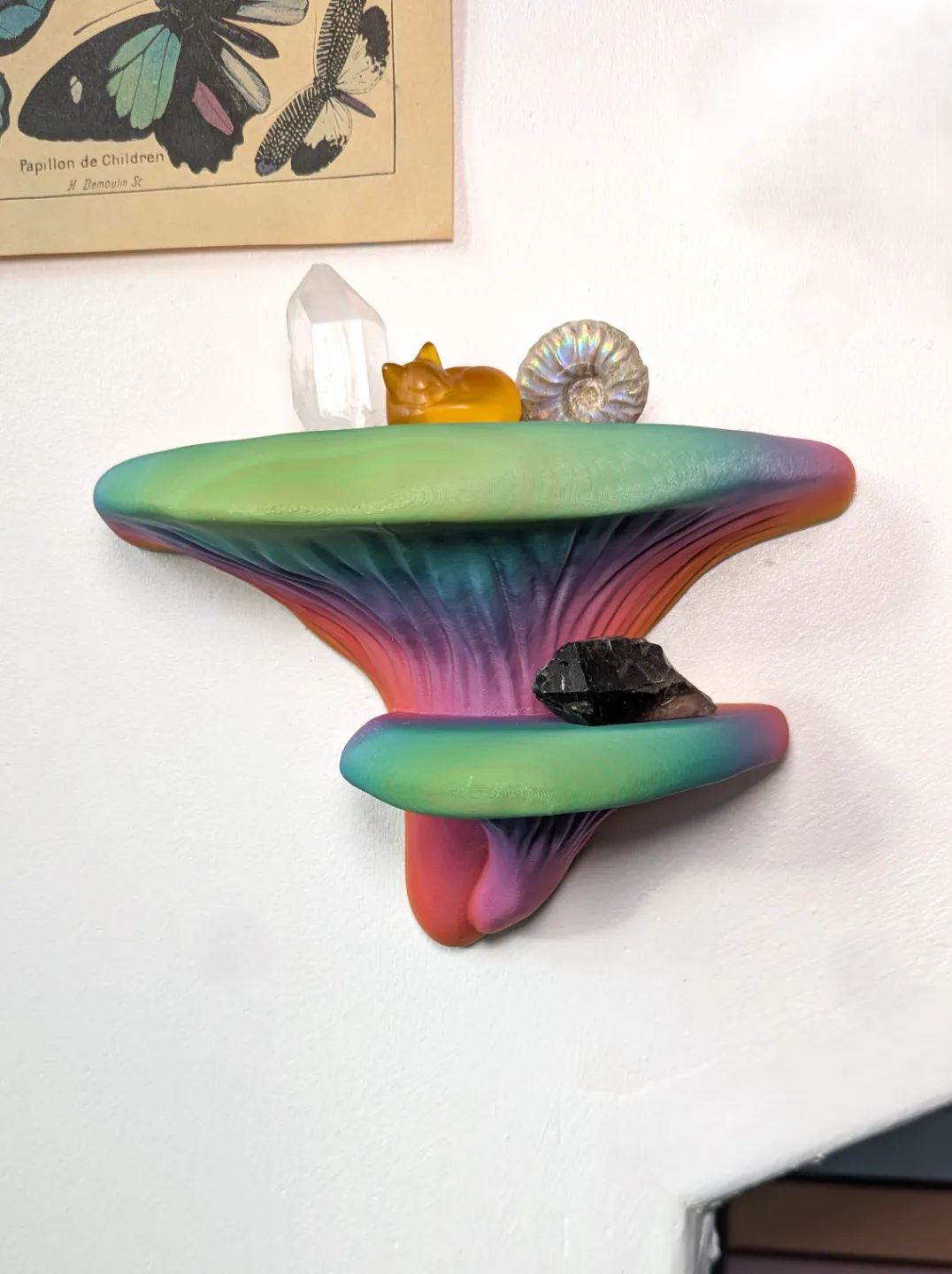Mushroom Shelf view 2