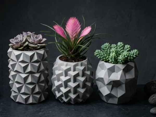 https://makerworld.bblmw.com/makerworld/model/USdf26ac2b6786ab/design/836ac2d57e680cc9.png