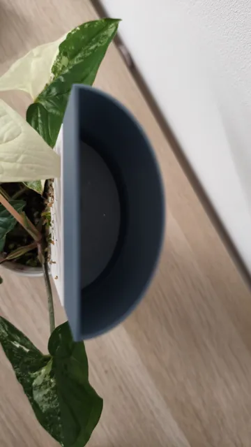 Bandeja organizadora: Modular moss pole + Drip irrigation tray — vista de referencia 3