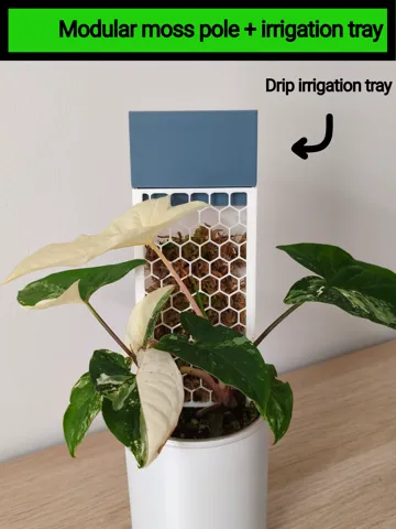Bandeja organizadora: Modular moss pole + Drip irrigation tray — vista de referencia 2