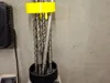 0.2mm layer, 3 walls, 5% infill
