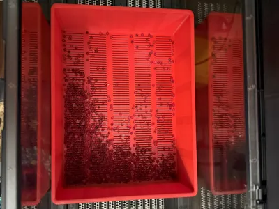 Sunlu E2 Desiccant Dry Basket