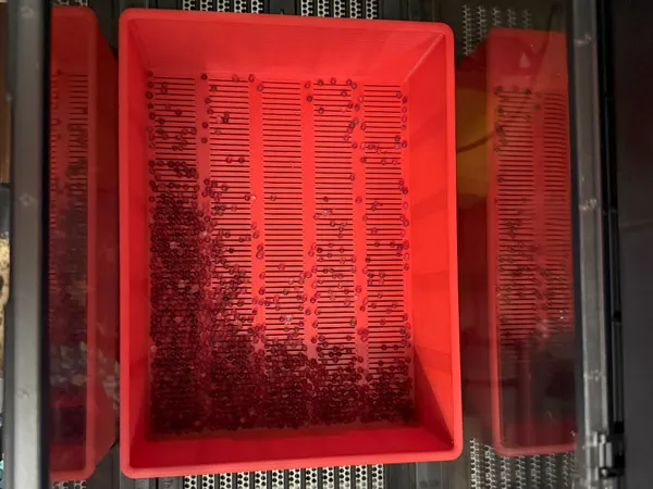 https://makerworld.bblmw.com/makerworld/model/USdf2fac0a5ee37a/design/2025-05-23_0bd6cf94ea0fa8.jpg