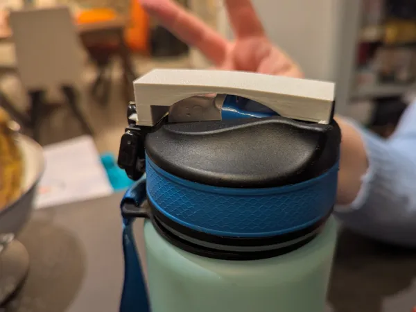 https://makerworld.bblmw.com/makerworld/model/USdf330f36d7b89f/design/2025-11-17_ea26d176480fe.jpg