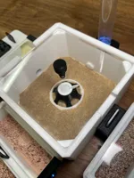 0.2mm layer, 3 walls, 15% infill