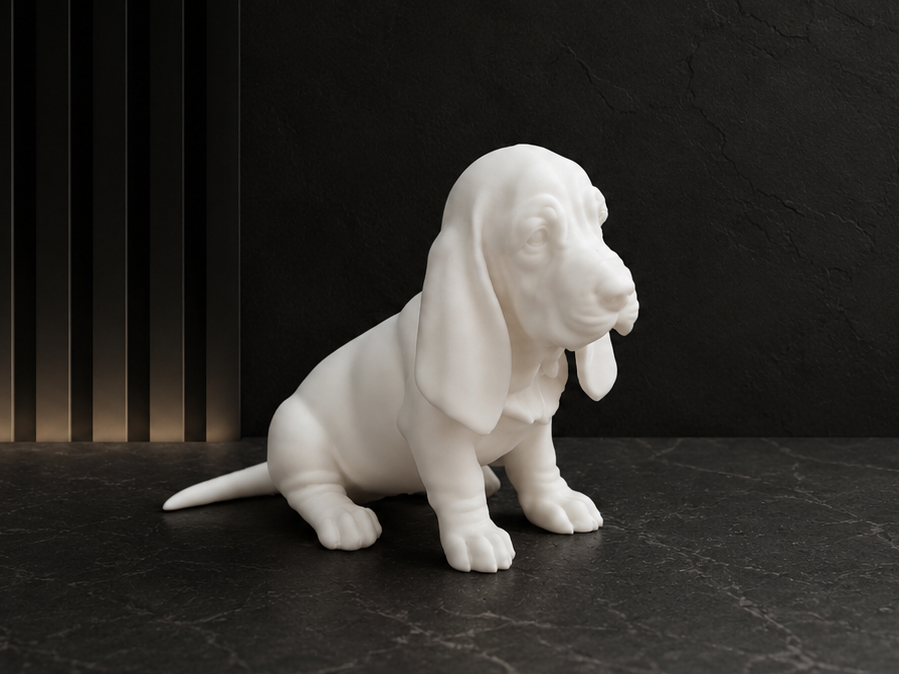 Basset hound - Puppy - Dog