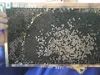 0.2mm layer, 3 walls, 20% infill