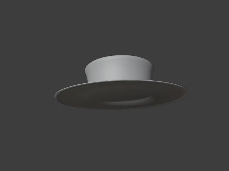 hat