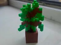 Oak Tree Sapling - 10cm height