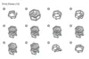 Roll Hexfinity Spirals - All Parts (one per plate)