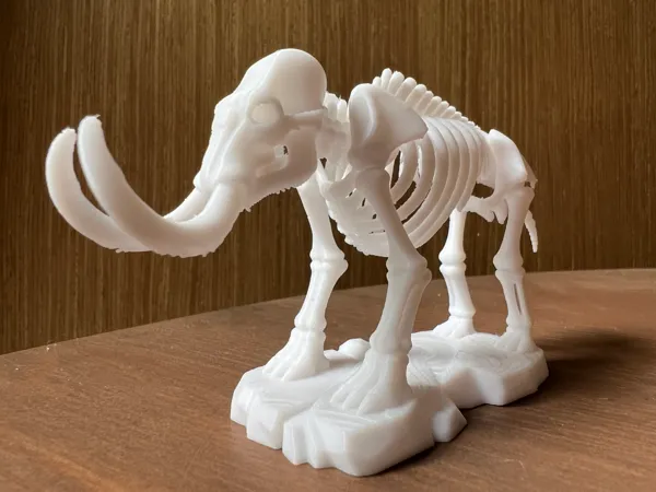 https://makerworld.bblmw.com/makerworld/model/USdf45407c8f0791/design/2025-07-12_51ed58a7d58268.jpg