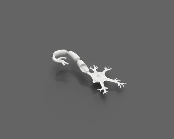 https://makerworld.bblmw.com/makerworld/model/USdf45802299071/design/2024-01-08_sva4ilpsvv9d.jpg