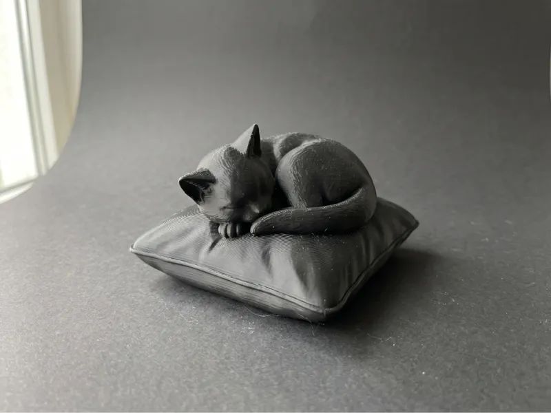 Sleeping Cat (Curled on Pillow)
