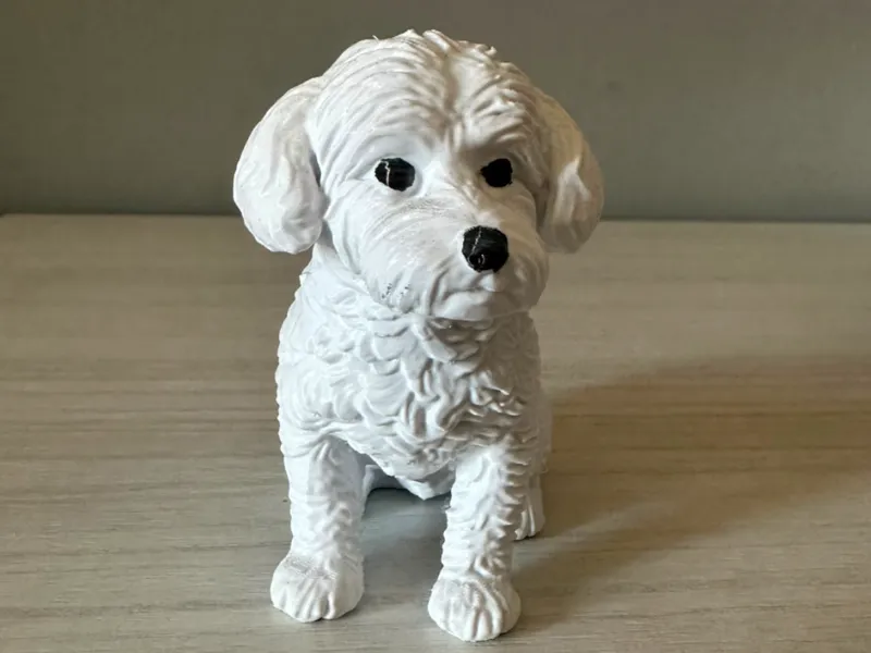 statuina cane maltese
