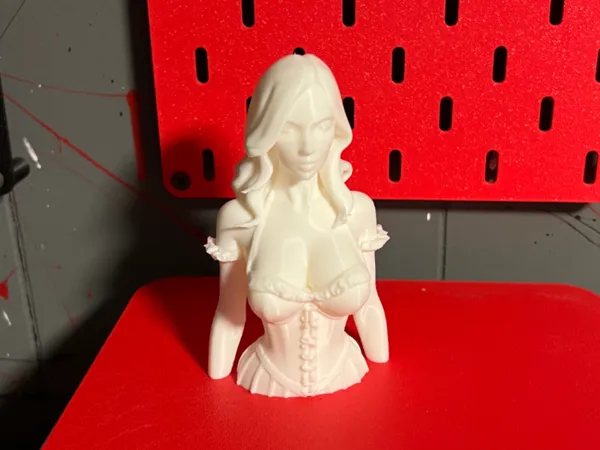 https://makerworld.bblmw.com/makerworld/model/USdf4ec5121bb2b9/design/2025-05-22_01629d47ade348.jpg