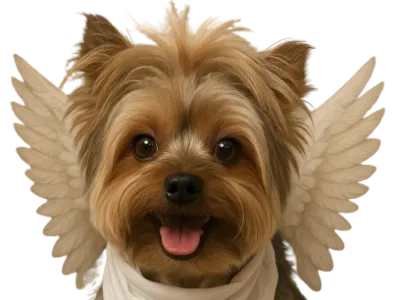 Jerry the Dog