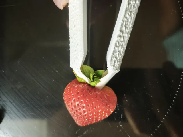 Ergonomic Strawberry Huller & Leaf Remover