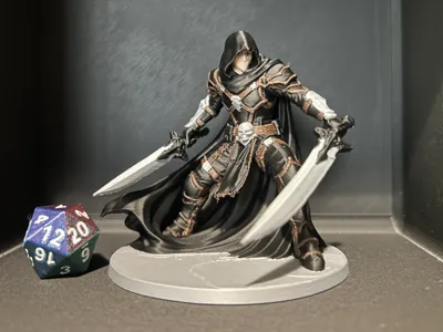 D&D-Assassin/Rogue (Multicolored)