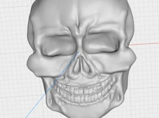 skull