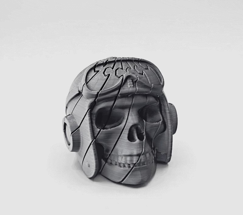 Branded Aviator Twist Skull Fidget