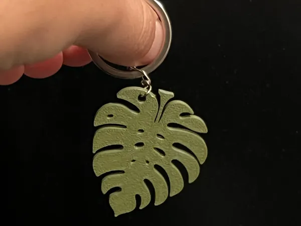 https://makerworld.bblmw.com/makerworld/model/USdf61049c32bb24/design/2025-03-09_97fe66bfc8939.jpg
