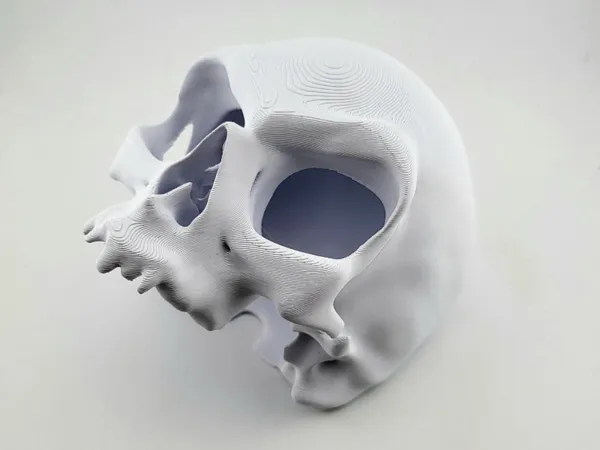 https://makerworld.bblmw.com/makerworld/model/USdf6372c85c309f/design/2025-01-12_f1b4c6a6cf73e.jpg
