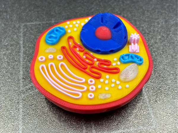 https://makerworld.bblmw.com/makerworld/model/USdf64ef1ec00b/design/2025-01-10_cd2005705fbee.jpg