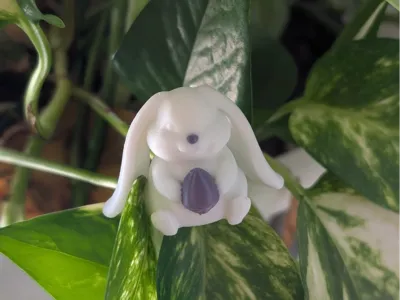 FunnyBunny