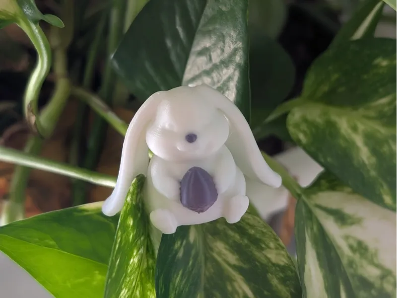 FunnyBunny