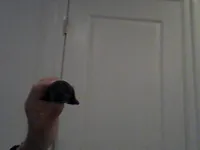 0.08mm layer, 2 walls, 15% infill