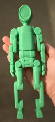 Atlas - Elongated Head