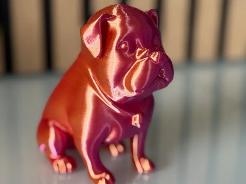 English Bulldog