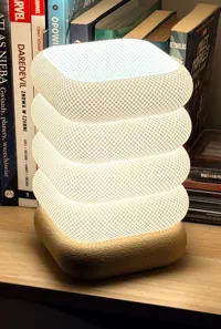 Fuzzy skin - 0.2mm layer, 2 walls, 8% infill