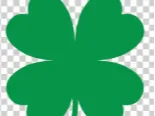 four-leaf clover