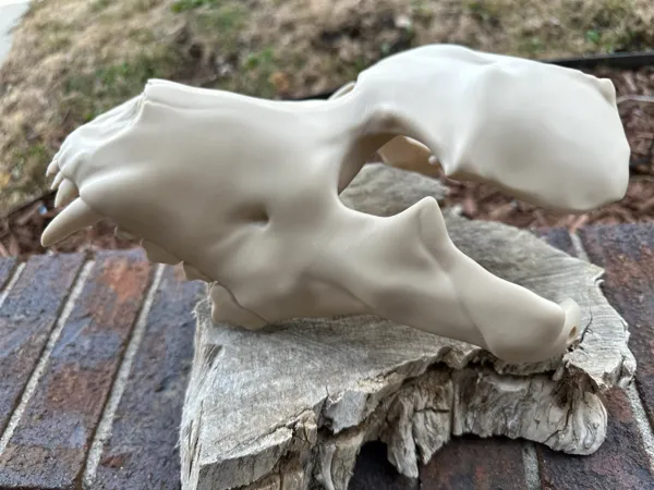 https://makerworld.bblmw.com/makerworld/model/USdf82fe5ad335f0/design/2024-09-20_9e1e72e8e21c8.jpeg