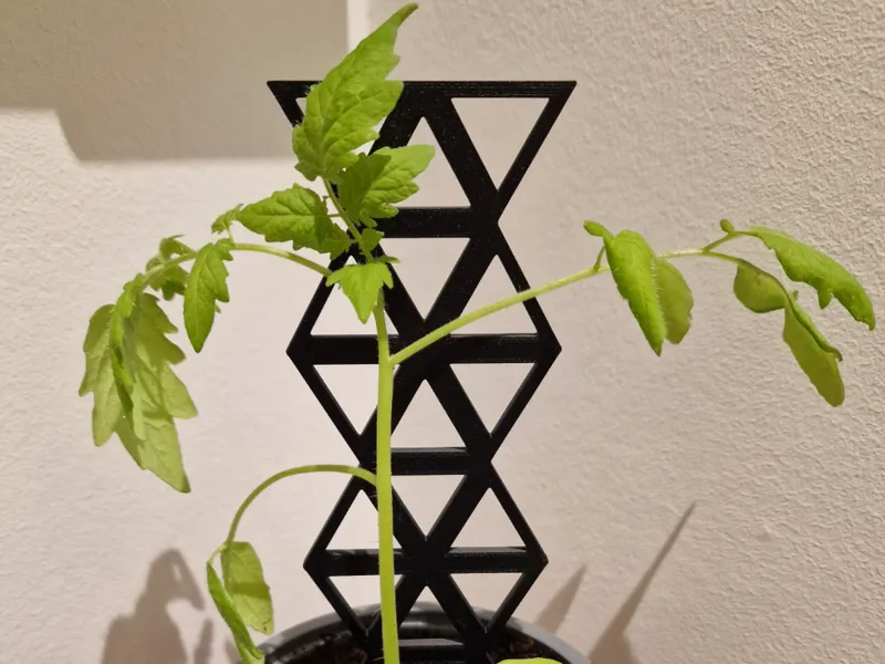 Plant holder triangle