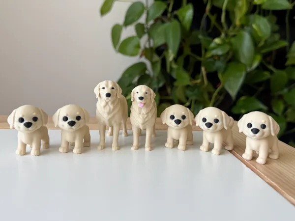 https://makerworld.bblmw.com/makerworld/model/USdf8f2457b33915/design/0dd36b2ff0aa8d55.jpeg