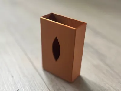 Cigarette case protector