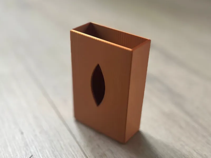 Cigarette case protector