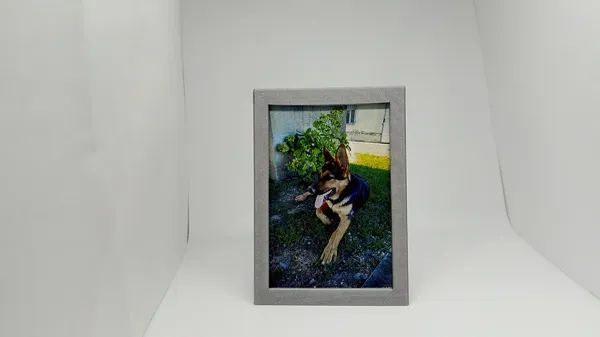 https://makerworld.bblmw.com/makerworld/model/USdf900abc1148de/design/2023-12-26_06171ad6565e5.webp