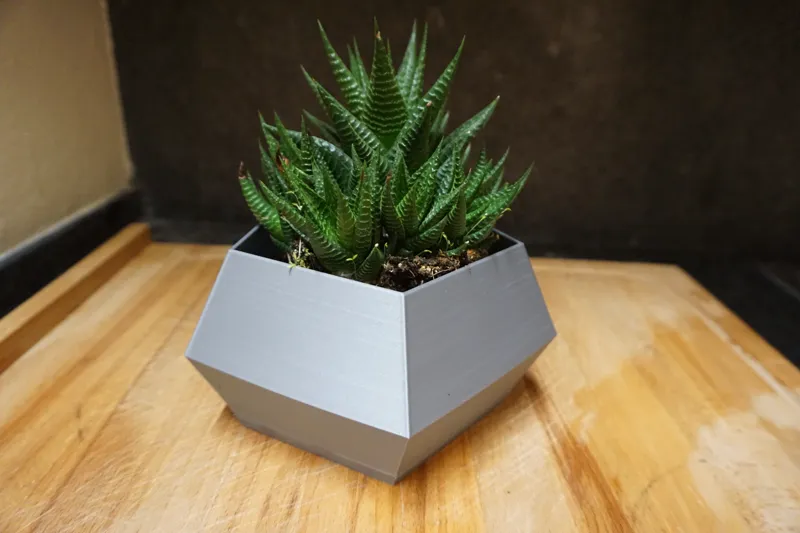 Pentagonal planter